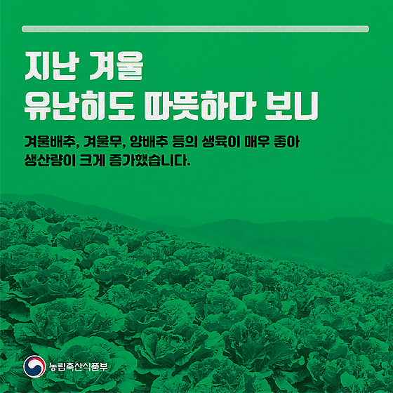 채소류, 수급조절 프로그램 따라 수급안정 지원
