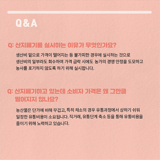 채소류, 수급조절 프로그램 따라 수급안정 지원
