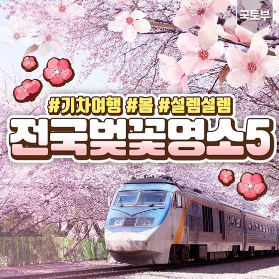 기차 타고 떠나는 전국 벚꽃 명소 5 사진 1