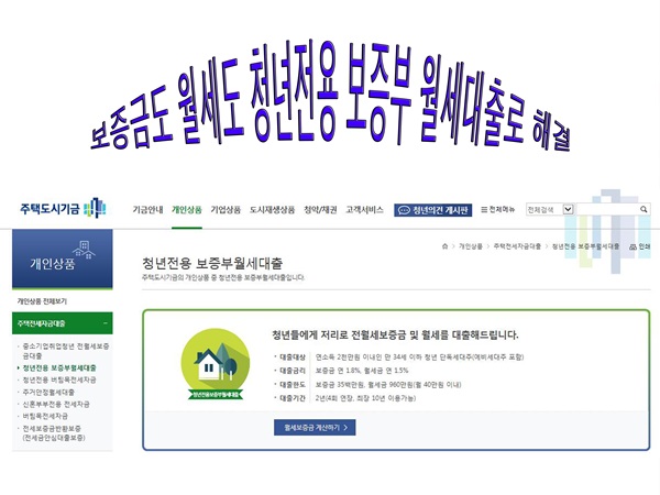 청년 주거 정책 - 청년전용 보증부 월세대출
