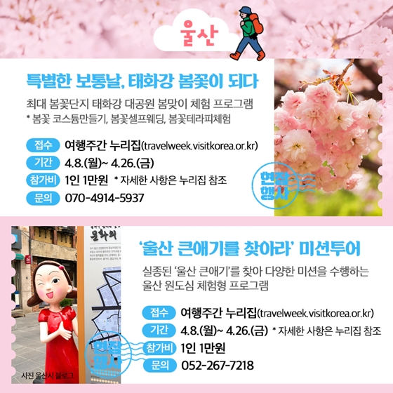 ‘봄 여행주간’ 지역 대표 프로그램
