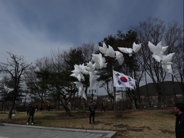 추모비둘기가 공중으로 날려보내고 있다.