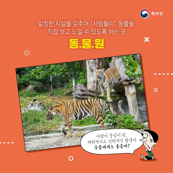 동물이 없는 동물원