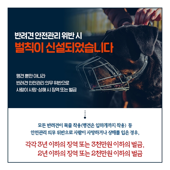 맹견을 기르신다면, 꼭 ‘이것’ 받으세요!