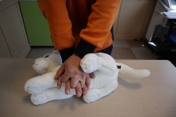 심장압박은 작은 동물은 3~4cm 깊이로 30회를 한다