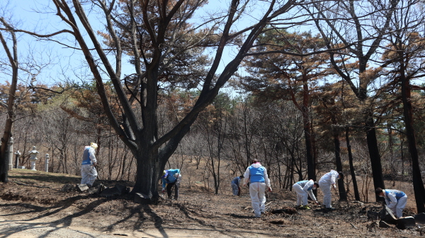 한국가스공사 직원들이 불에 타 그을린 나무와 가재도구 정리 작업을 하고 있다