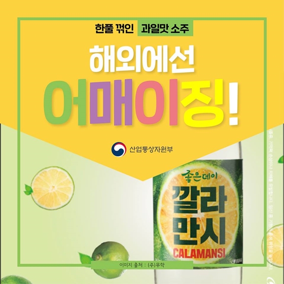 국내에선 한풀 꺾인 과일맛 소주, 해외에선 인기폭발?