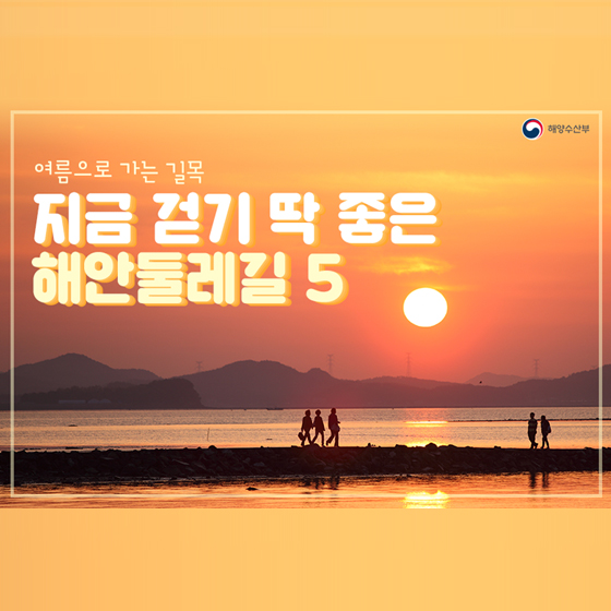 지금 걷기 딱 좋은 해안둘레길 5