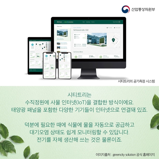 식물을 세로로 심는다고요?
