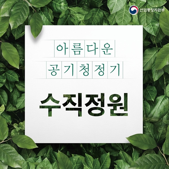 식물을 세로로 심는다고요?