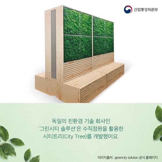 식물을 세로로 심는다고요?