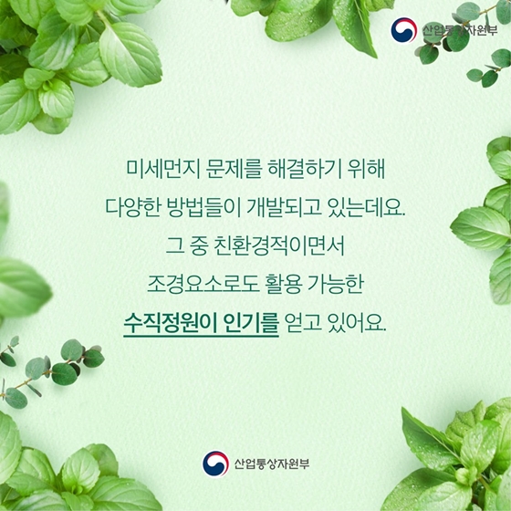 식물을 세로로 심는다고요?