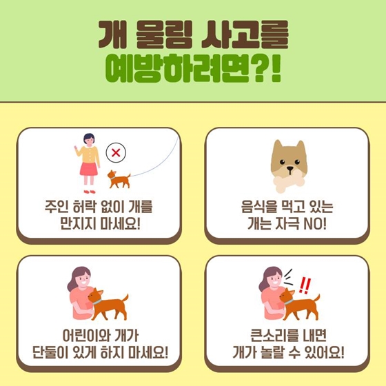 야외활동 중 개에게 물렸다면?