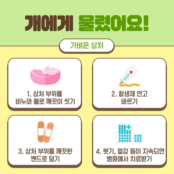 야외활동 중 개에게 물렸다면?