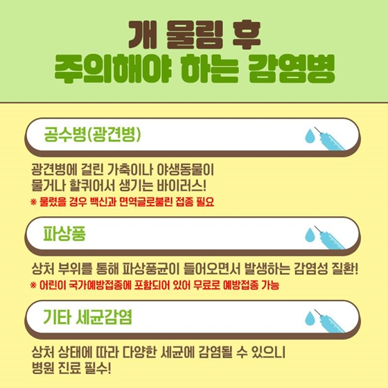 야외활동 중 개에게 물렸다면?