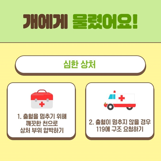 야외활동 중 개에게 물렸다면?