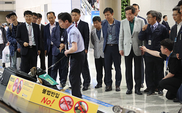 이낙연 국무총리가 주말인 18일 인천공항 입국장 아프리카돼지열병 국경검역장을 방문, 세관 탐지견의 탐지활동 등을 참관하고 있다.(사진=저작권자(c) 연합뉴스, 무단 전재-재배포 금지)