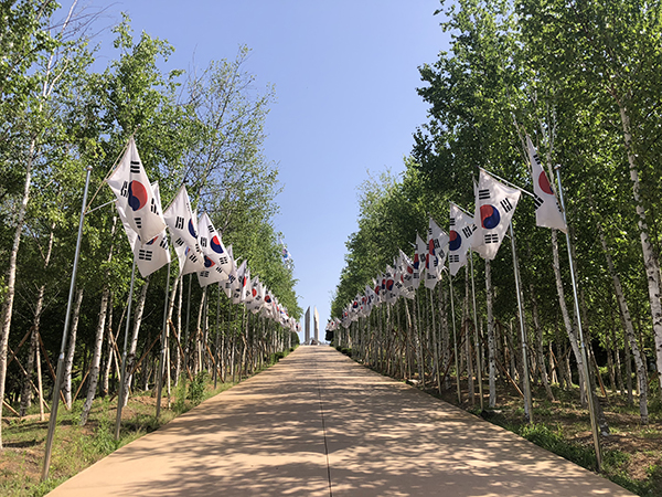 태극기와 자작나무가 이어진 백마고지 전적지 입구.