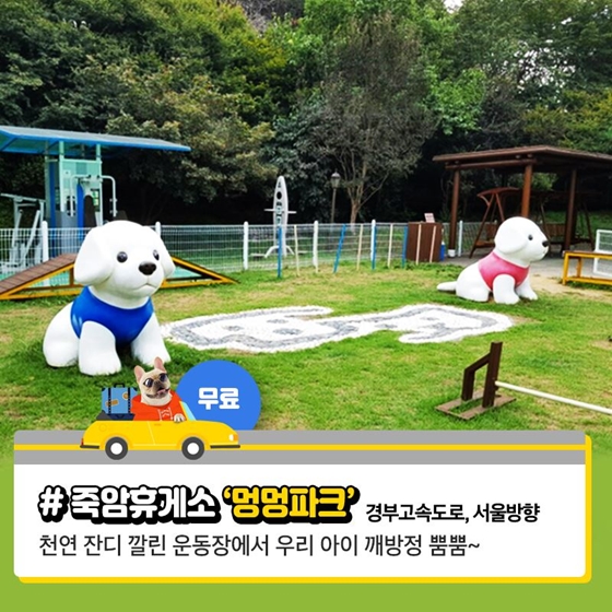 댕댕이 놀이터 있는 휴게소 6