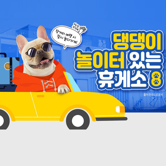댕댕이 놀이터 있는 휴게소 6