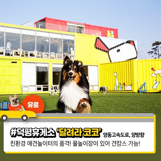 댕댕이 놀이터 있는 휴게소 6