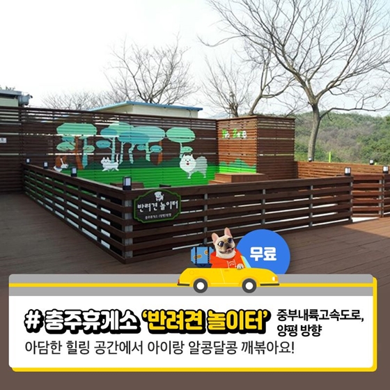 댕댕이 놀이터 있는 휴게소 6