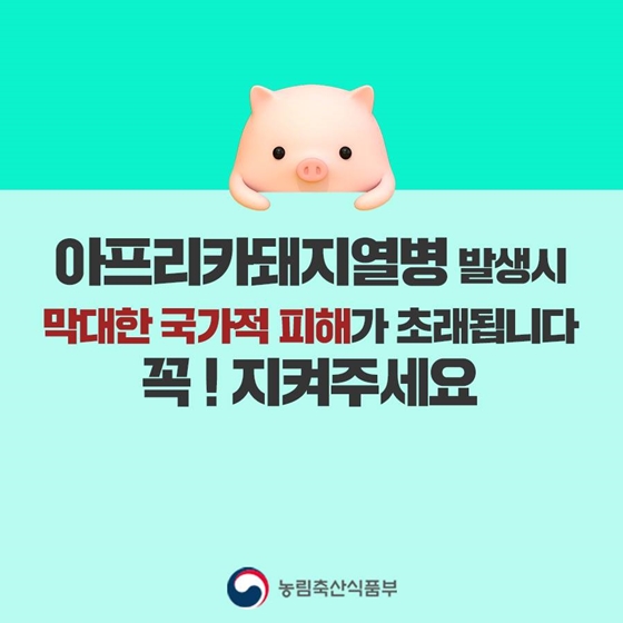 아프리카돼지열병 완벽차단을 위한 농가 행동수칙!