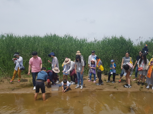 다음으로 진행된 물고기 및 다슬기 채집 체험.