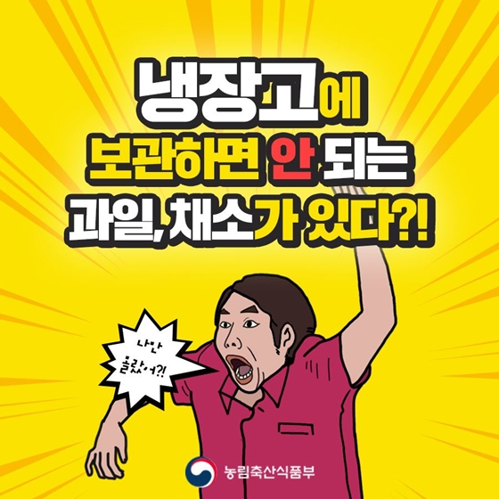 냉장고에 보관하면 안 되는 과일, 채소가 있다?!