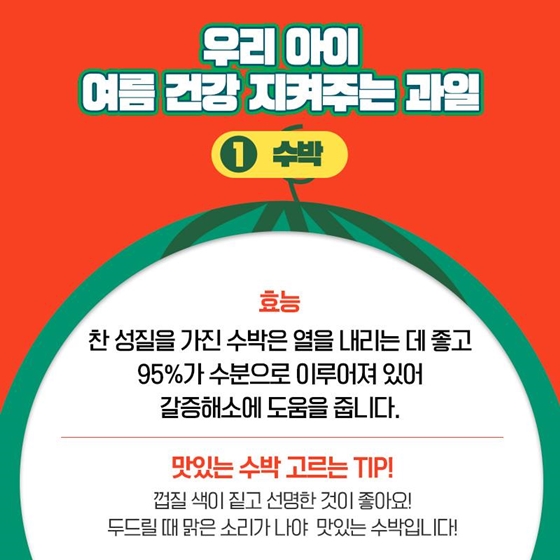 과일아~ 여름을 부탁해