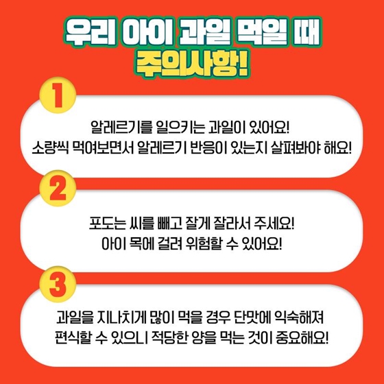 과일아~ 여름을 부탁해