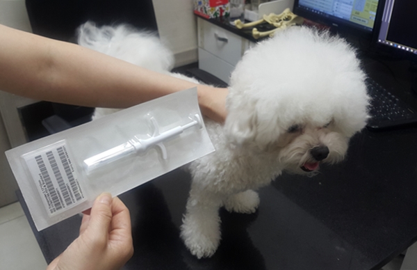 동물등록에 사용되는 마이크로칩(RFID, 무선전자개체 식별장치)는 체내 이물 반응이 없는 재질로 코팅된 쌀알만한 크기다.