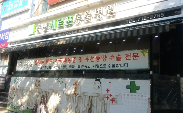 집에서 애견을 키우고 있는데 동물등록을 하지 않았다면 시·군·구청으로 직접 가야하는데 날씨도 덥고 하니 동물보호관리시스템을 통해 검색하면 편하다.