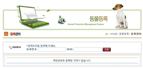 반려동물을 잃어버렸을 때 유기견 보호소에 들어오면 동물보호관리시스템을 통해 소유자를 쉽게 찾을 수 있다.