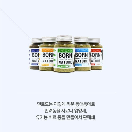 사회적 문제를 해결하는 비즈니스 모델, 사회적 경제