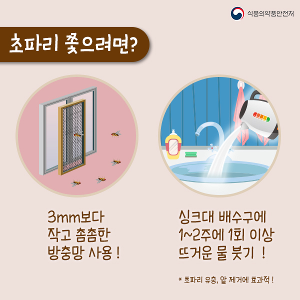 여름철 불청객 초파리 퇴치법