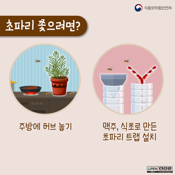여름철 불청객 초파리 퇴치법