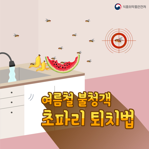 여름철 불청객 초파리 퇴치법