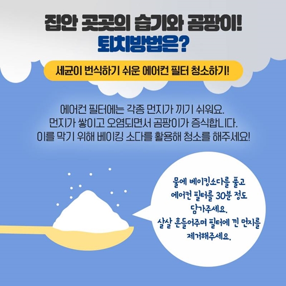 꿉꿉한 장마철, 습기와 곰팡이를 잡아라!