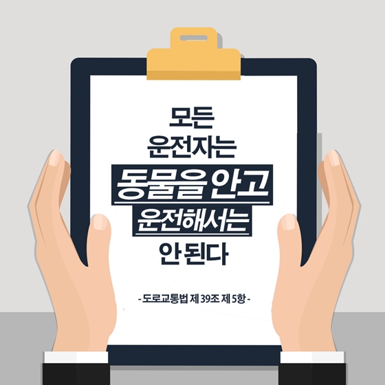 펫팸족이라면 알아야 할 반려동물 도로교통법