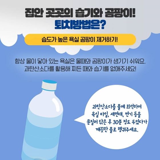 꿉꿉한 장마철, 습기와 곰팡이를 잡아라!