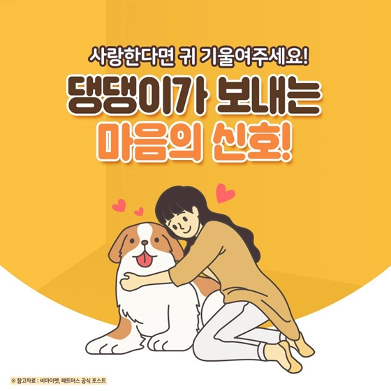 “우리 집 강아지가 한숨을 쉬어요” 아는 만큼 보이는 그들의 신호! 