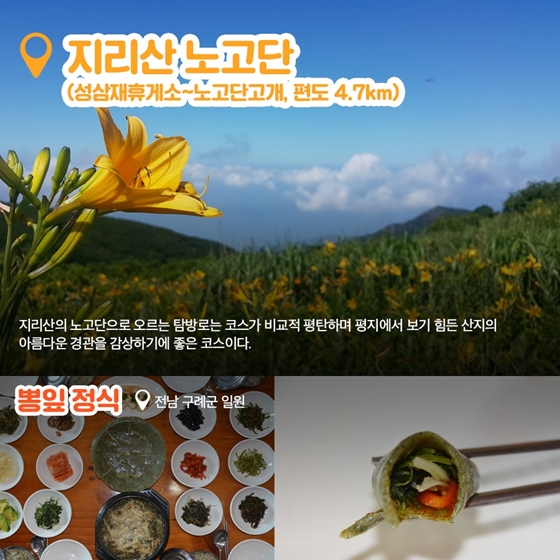 금강산도 식후경! 여름제철음식과 함께하는 국립공원 탐방 5선