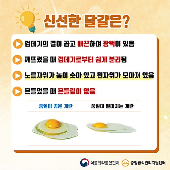 달걀 보관 시 뾰족한 부분이 위로? 아래로? - 카드/한컷 | 멀티미디어 | 대한민국 정책브리핑 달걀 보관 시 뾰족한 부분이 위로? 아래로? - 카드/한컷 | 멀티미디어 | 대한민국 정책브리핑