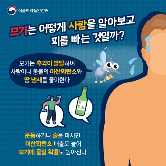 모기가 좋아하는 사람은 따로 있다?