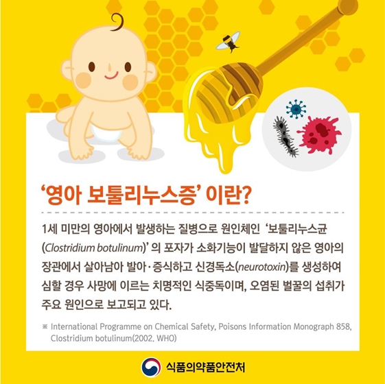 1세 미만 아기에게 벌꿀 먹이면 안되는 이유는?