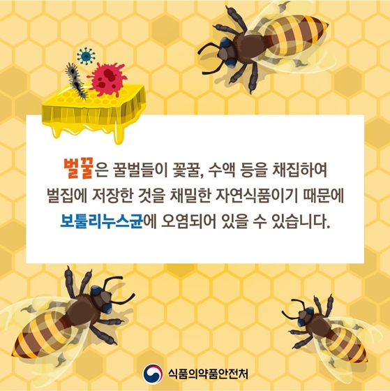 1세 미만 아기에게 벌꿀 먹이면 안되는 이유는?