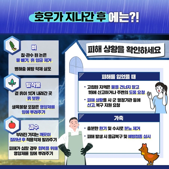 태풍, 집중호우 대비, 이렇게 하세요