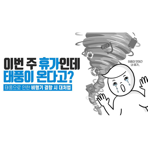 태풍 때문에 내 비행기가 결항된다면?