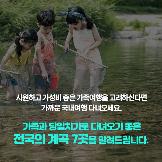 가족과 즐기기 좋은 여름 계곡 7선